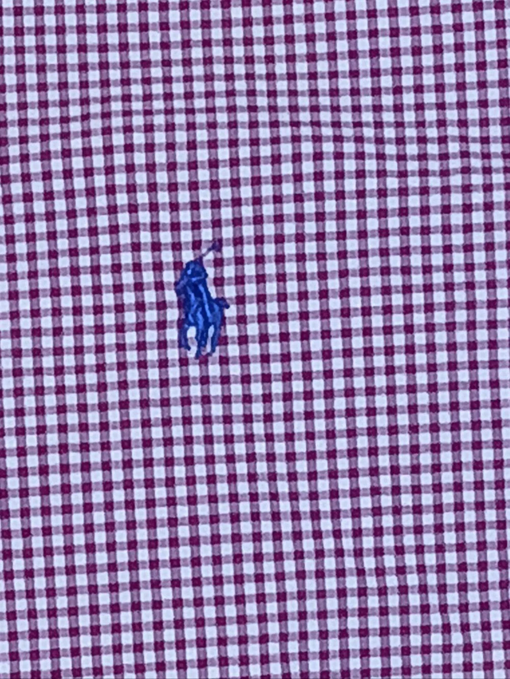 Polo by Ralph Lauren Purple Gingham Button-Down Shirt
